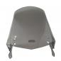 Preview: Windshield suitable for BMW F650 GS + Dakar (04-07) - smoked grey