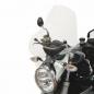 Preview: Windschild für passend für BMW R1200 R (-2010) - Höhe 460mm