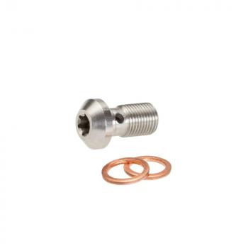 Banjo bolt stainless steel V2A M10x1,25 Torx