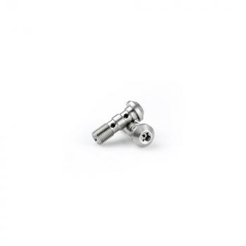 Preview: Doulbe banjo bolt stainless steel V2A M10x1,25 Torx