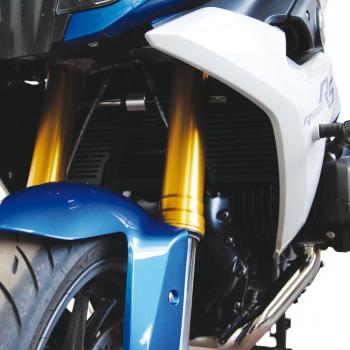 Preview: Kühlerschutzgitter passend für BMW R1200 RS LC