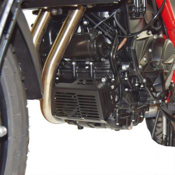 Preview: Oil filter / Heat exchanger protector suitable for BMW F700 GS