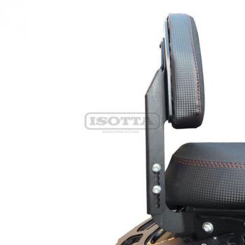 Preview: Sissybar inklusive Rückenpolster passend für Moto Guzzi MGX 21