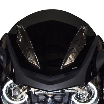 Preview: Windschild passend für BMW K1600 Modelle - Höhe 365 mm