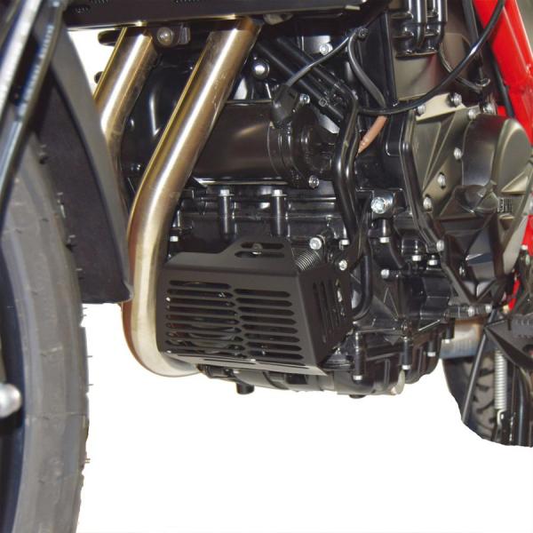Oil filter / Heat exchanger protector suitable for BMW F700 GS