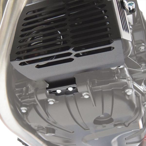 Oil filter / Heat exchanger protector suitable for BMW F700 GS