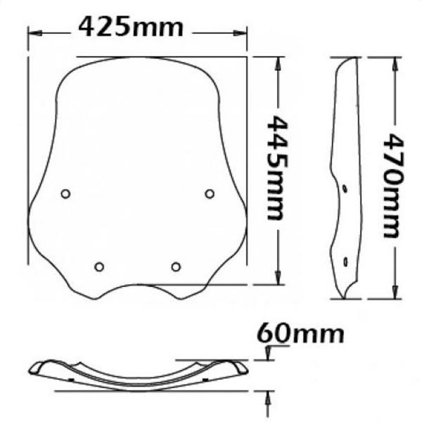 Windschild passend für BMW R1200 R (-2010) - Höhe 445mm