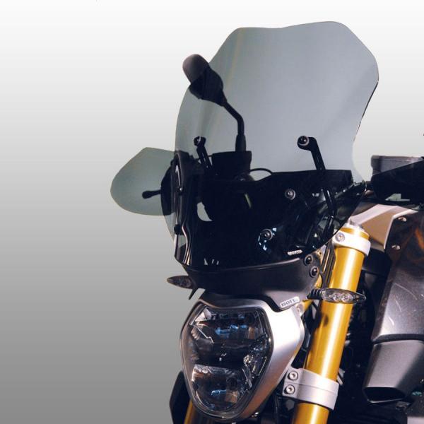 Windschild für passend für BMW R1200 R LC (2015-) - Höhe 500mm