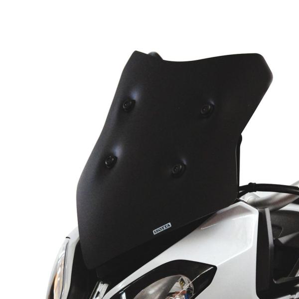 Windschild für passend für BMW S1000 XR - Höhe 445mm